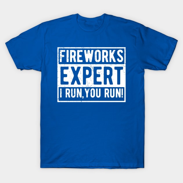 Fireworks Expert fireworks T-Shirt by Gaming champion